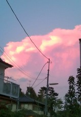 20120807185148001.jpg