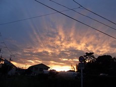 2012091901010RIMG6365.jpg