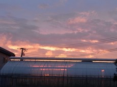 2012091901010RIMG6369.jpg