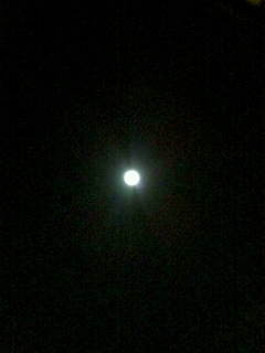 20100101231201.jpg