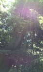 2011071011080901.jpg