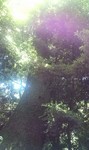 2011071011132201.jpg