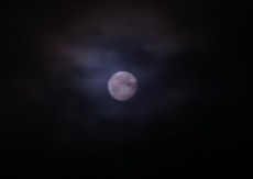 2012.07.04.0101RIMG6046.jpg