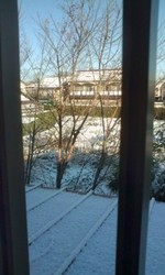 2012012408290930.jpg