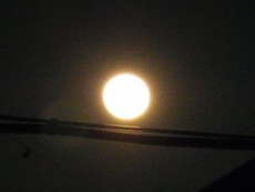 201205060101RIMG5181.jpg