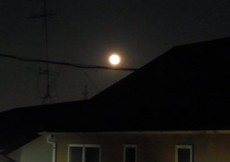 201205060101RIMG5185.jpg