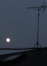 201206030101RIMG5391.jpg