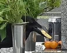 20120722.001101RIMG6174.jpg