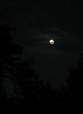 2012103101010RIMG7321.jpg