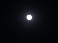 2013.02.25.00300RIMG9202.jpg