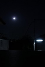2013.02.25.00300RIMG9205.jpg