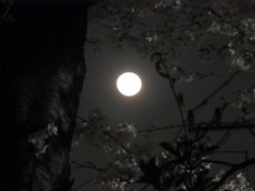 2013.03.28.00300RIMG9703.jpg