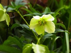 2013.03.29.00300RIMG9739.jpg
