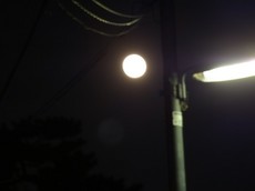 2013.11.18.000300RIMG2569.jpg