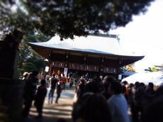 2014.01.01.00030RIMG4530.jpg
