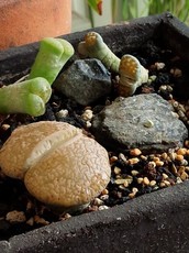 20150418122711.jpg