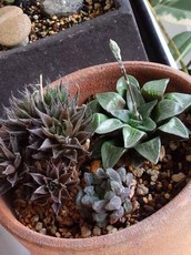 2015041813400030.jpg