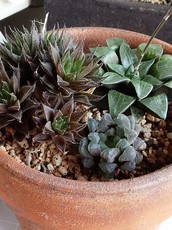 20150423155521.jpg