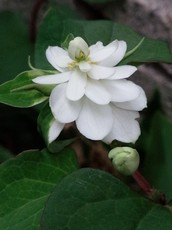 20150522164458030.jpg