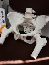 20150727143115001.jpg