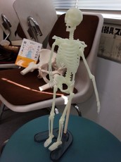 20150727143135001.jpg